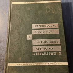 Reproductia obstetrica si insamantarile artificiale la animale domestice Lunca