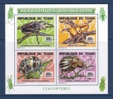 CHAD 2016 FAUNA INSECTE COLEOPTERE