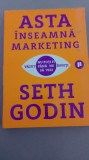 Seth Godin - Asta &icirc;nseamnă marketing