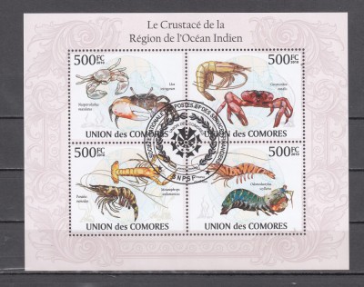 M2 ZZC 49 - Colita foarte veche - Comore - crustacee marine foto