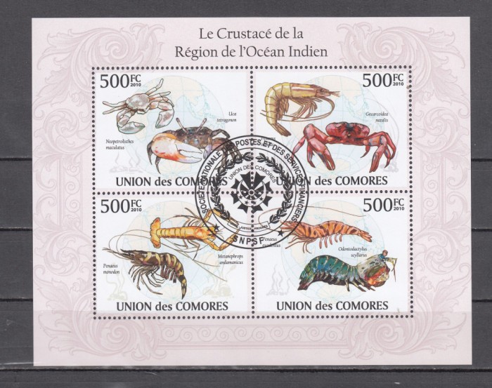 M2 ZZC 49 - Colita foarte veche - Comore - crustacee marine