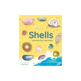 Shells... and What They Hide Inside: A Lift-The-Flap Adventure
