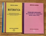 Set 2 carti proleme rezolvate din manualele de clasa a IX a si a X a de MIrcea Ganga