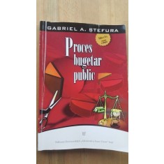 Proces bugetar public- Gabriela A. Stefura