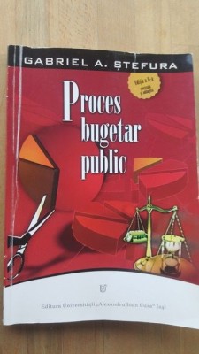 Proces bugetar public- Gabriela A. Stefura foto