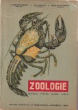 C. Boboescu, E. Sanielevici, Coralia Nitescu Vernescu - Zoologie. Manual pentru clasa a IX-a