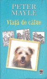 VIATA DE CAINE-PETER MAYLE-272868