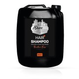 Cumpara ieftin Sampon - SHAVE FACTORY - pentru par fara parabeni - 5000 ml
