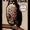 H Is for Hawk