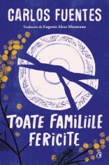 Toate familiile fericite - Curtea Veche