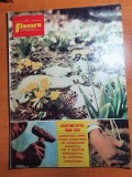 flacara 8 martie 1975-art. jud. gorj,turnu severin , orasul vaslui si tarcau