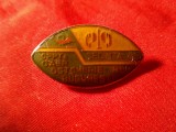 Insigna Romania CAER 1985 , metal si email , 3x1,8cm