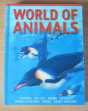World of Animals - Belinda Gallagher