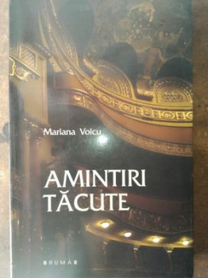 Amintiri tacute- Mariana Voicu foto