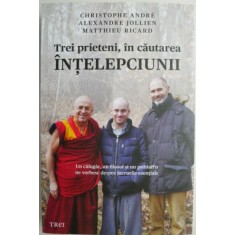 Trei prieteni, in cautarea intelepciunii. Un calugar, un filosof si un psihiatru ne vorbesc despre lucrurile esentiale &ndash; Christophe Andre, Alexandre J