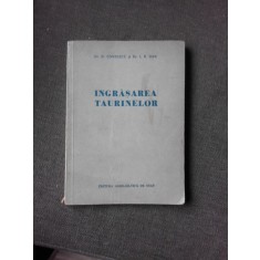 Ingrasarea taurinelor - D. Contescu