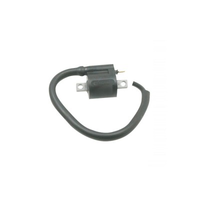 MBS Bobina inductie Aprilia/MBK/Yamaha, Cod Produs: 246010040RM foto