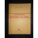 N. Fane, I. Otescu - Acoperișuri economice de lemn