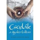 Csod&aacute;k a gyakorlatban - Az NLP gy&oacute;gy&iacute;t&oacute; ereje - Az NLP gy&oacute;gy&iacute;t&oacute; ereje - Arielle Essex