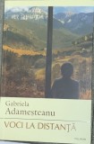 Voci la distanta - Gabriela Adamesteanu, 2022, Polirom