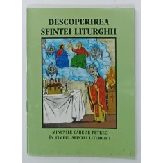 DESCOPERIREA SFINTEI LITURGHII , MINUNILE CARE SE PETREC IN TIMPUL SFINTEI LITURGHII , ANII '90