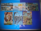 HOPCT LOT NR 415 DELFINI/DELFINARIU CONSTANTA-FAUNA -6 CARTI POSTALE-NECIRCULATE