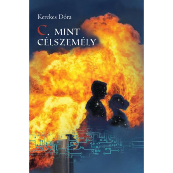 C, mint c&eacute;lszem&eacute;ly - Kerekes D&oacute;ra