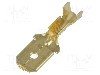 Terminal tip plat, pentru surub {{Orificiu pentru &amp;#351;urub}}, IMP - 679/B.00.9