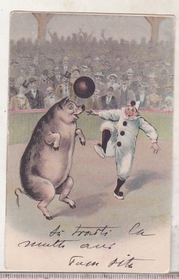 bnk cp Felicitare - umor - circulata in Romania 1904 ? foto
