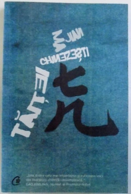 TAITEI CHINEZESTI de MA JIAN , 2009 foto