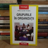 PETRU LUCIAN CURSEU - GRUPURILE IN ORGANIZATII , POLIROM , 2007 *