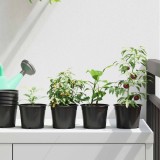 vidaXL Vaza pentru flori 50 pcs Negru &Oslash; 15 x 12.5 cm Plastic 42029490