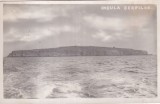 Insula Serpilor (scrisa)