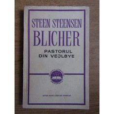 Steen Steensen Blicher - Pastorul din Vejlbye