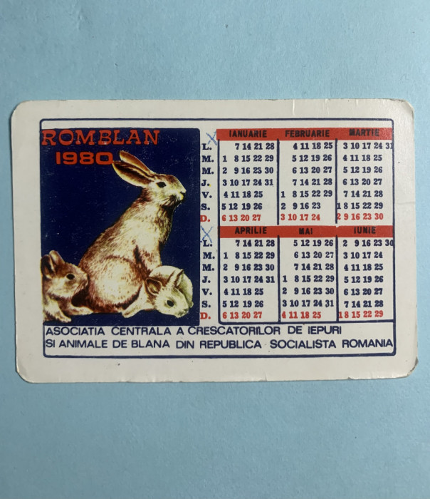 Calendar 1980 Romblan