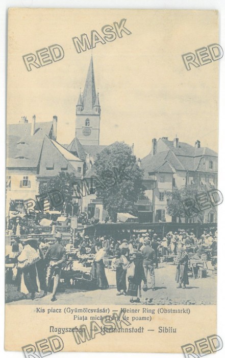 2729 - SIBIU, Market, Romania - old postcard - used - 1917