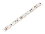 Bandă LED Albastră 12V 60 LED/m IP20