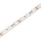 Bandă LED Albastră 12V 60 LED/m IP20