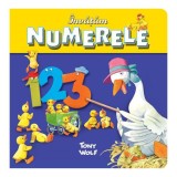 Cumpara ieftin &Icirc;nvățăm numerele, Litera