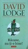 Racane, nu ti-e bine! - David Lodge, Polirom, Roman, Beletristica, 2013