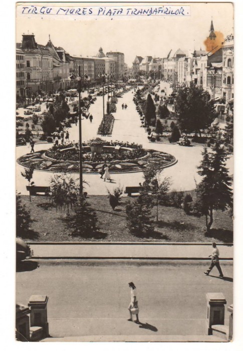 CPIB 22178 - CARTE POSTALA - TARGU MURES. PIATA TRANDAFIRILOR, RPR