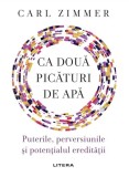 Ca doua picaturi de apa. Puterile, perversiunile si potentialul ereditatii