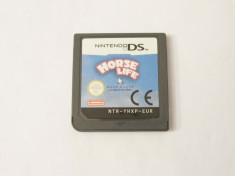 Joc consola Nintendo DS - Horse Life foto