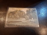 Carte postala , Buzias parc , alb negru - (circulata)