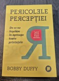 Pericolele perceptiei de ce ne inselam in aproape toate privintele Bobby Duffy