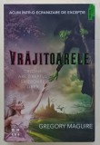 VRAJITOARELE , ORICINE ARE DREPTUL SA ZBOARE LIBER de GREGORY MAGUIRE , 2025