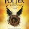 Harry Potter and the Cursed Child, Parts One and Two: The Official Playscript of the Original West End Production
