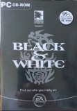 Joc PC Black &amp; White