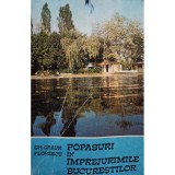 Gh. Graur Florescu - Popasuri in imprejurimile bucurestilor (Editia: 1983)