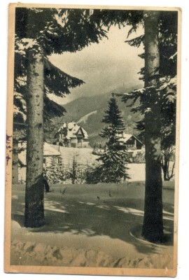 AD 986 C. P. VECHE - PREDEAL -VEDERE SPRE CIOPLEA -RPR -DEZLIPITA DIN TABLOU foto